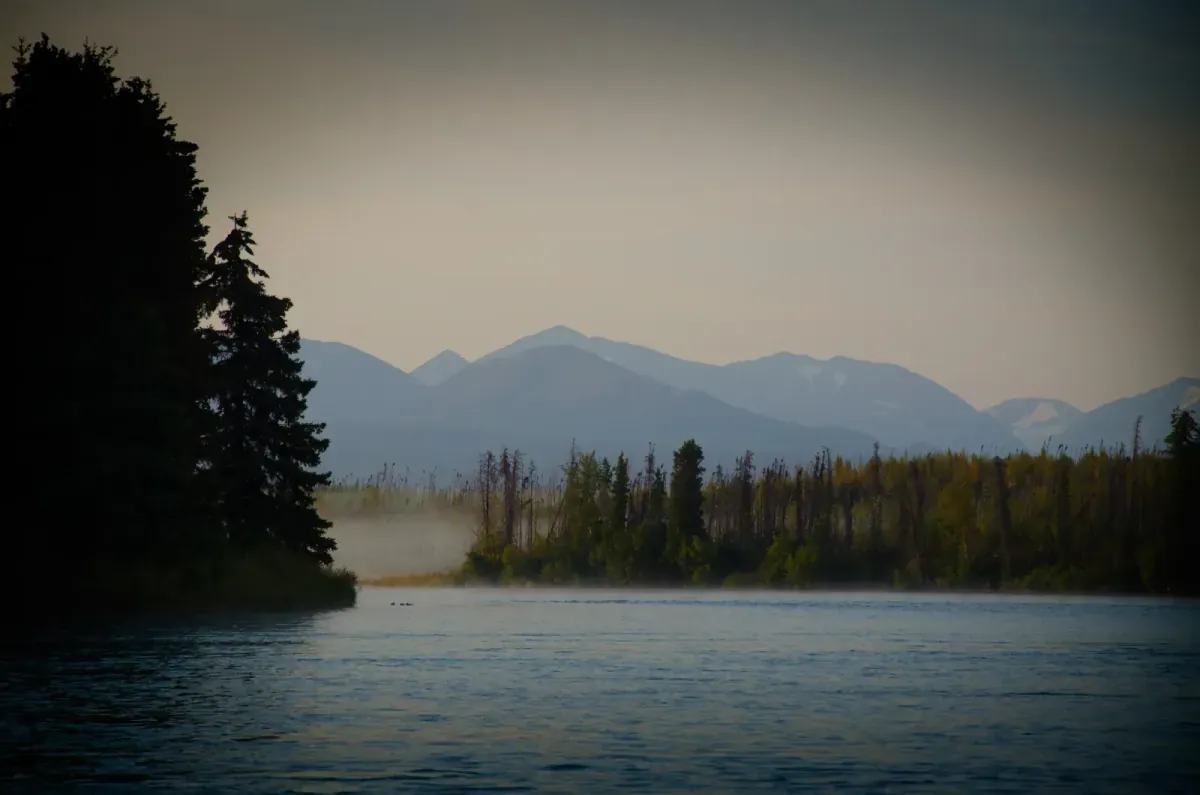 Guide netting rainbow trout on the Lower Kenai River