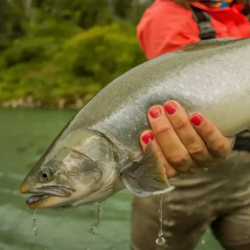 Scenic drift boat fishing on the Kenai River