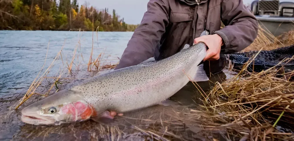 Kenai fishing guide trip photo 5
