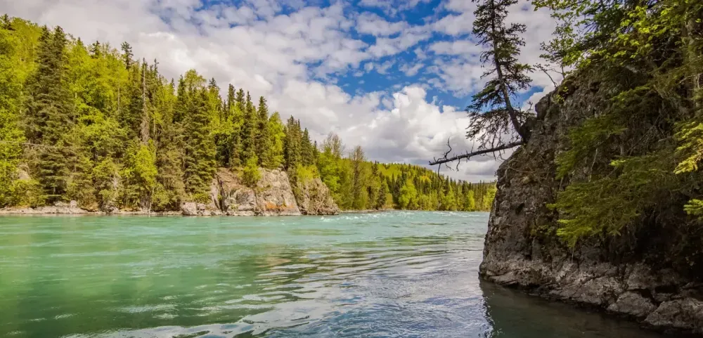 Kenai fishing guide trip photo 12