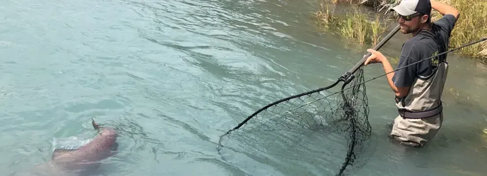 King salmon fishing on the Kasilof River