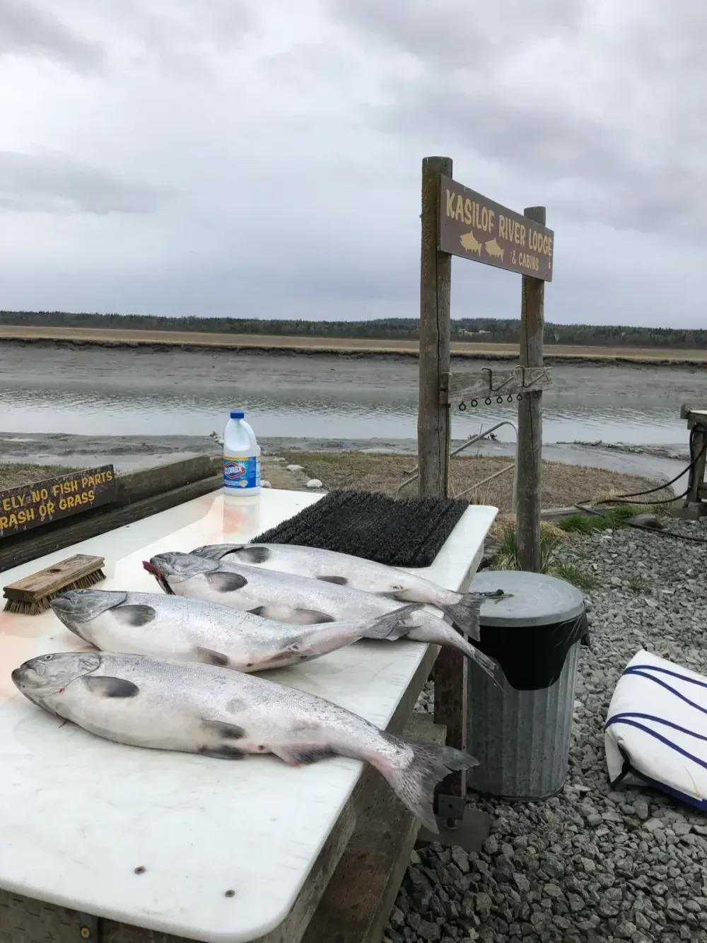 Kasilof River hatchery king salmon limit