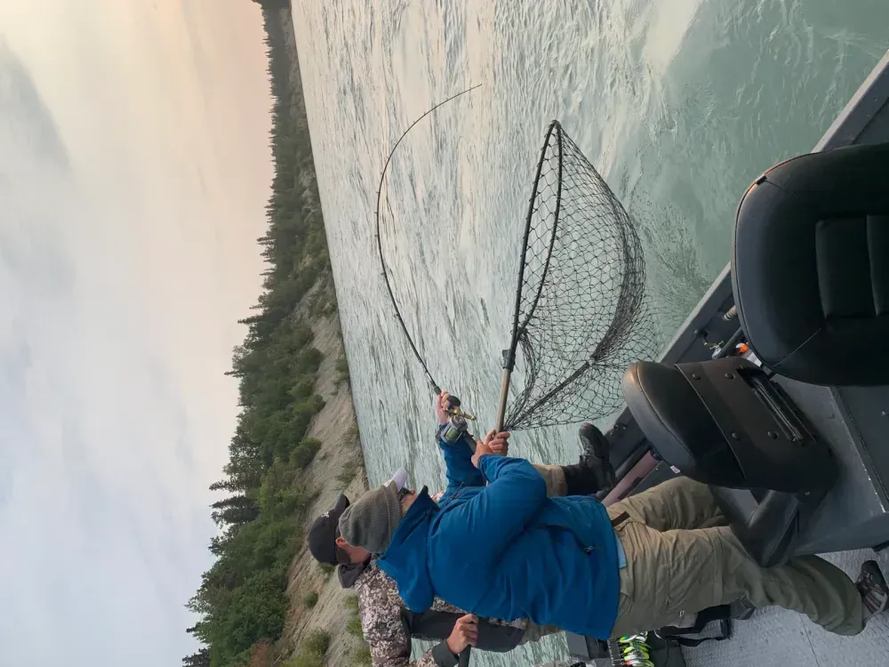 Kenai River King Salmon Regulations 2026