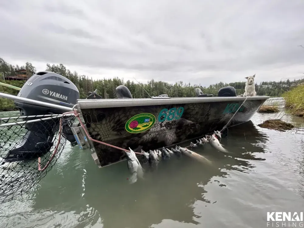 Full day Kenai salmon fishing trip