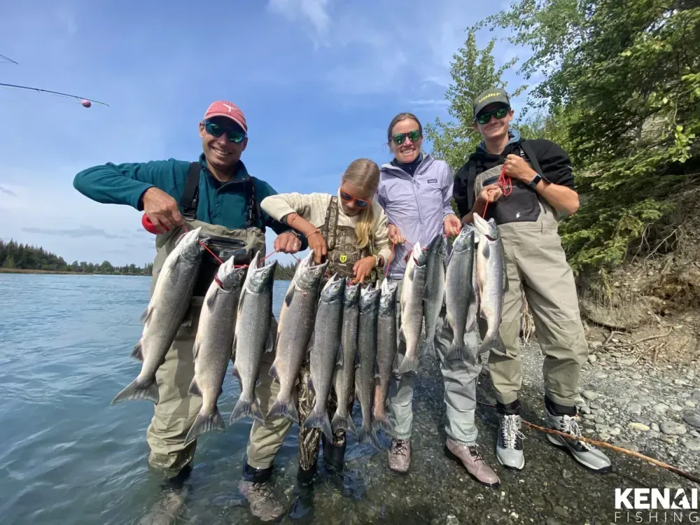Kenai River Sonar Fish Counts Explained