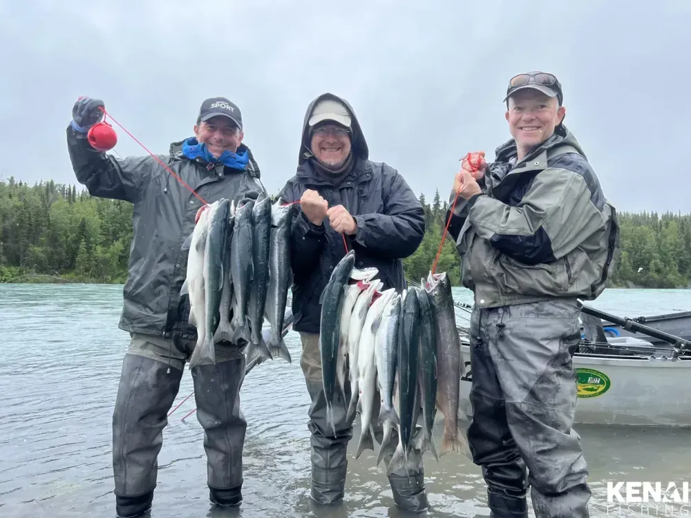 Close up of sockeye salmon held by guide